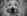 tiny-