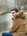 tiny-