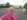 tiny-