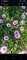 tiny-
