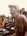 tiny-