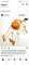 tiny-