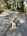 tiny-