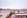 tiny-
