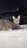 tiny-