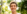 tiny-