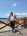 tiny-
