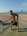 tiny-