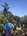 tiny-