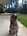 tiny-