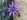 tiny-