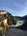 tiny-