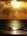 tiny-