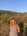 tiny-