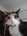 tiny-