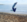 tiny-