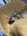 tiny-