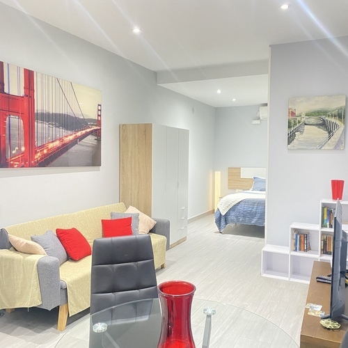 Loft con terraza compartida metro Ópera-Plaza España