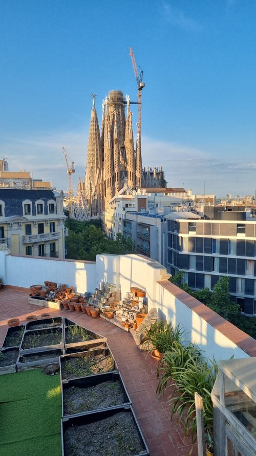 Habitación grande en sagrada familia.