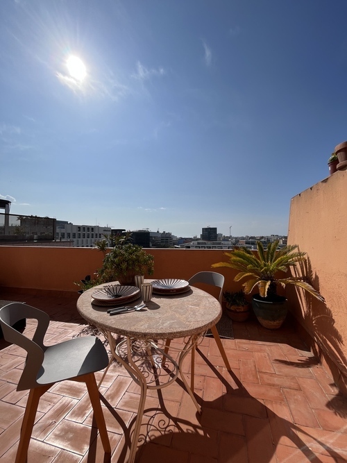 Stunning rooftop penthouse with terrace and view