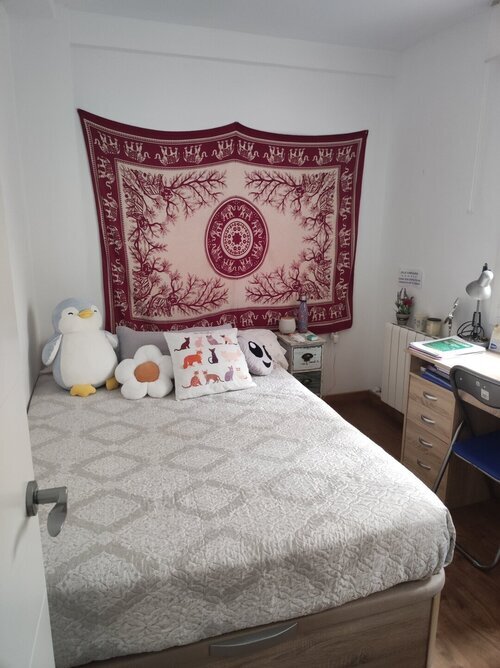 Habitación en el Zaidín 