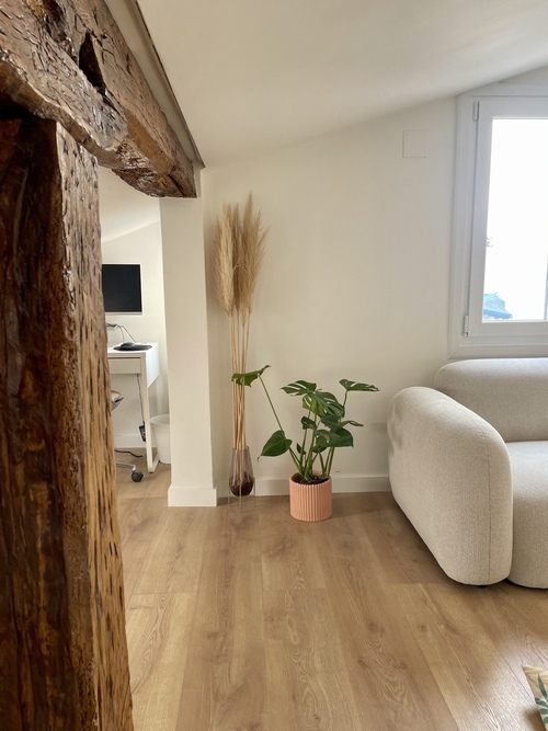 Cozy  flat in Casco Viejo
