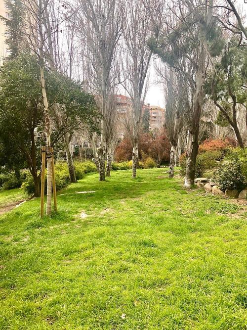 Zona BERNABEU,  ¡GASTOS INCLUÍDOS!