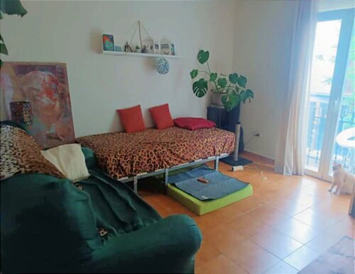 Habitación con mucha luz en piso de 2 habitaciones