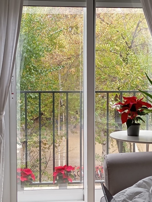 Habitacion en piso amplio y centrico, con baño privado