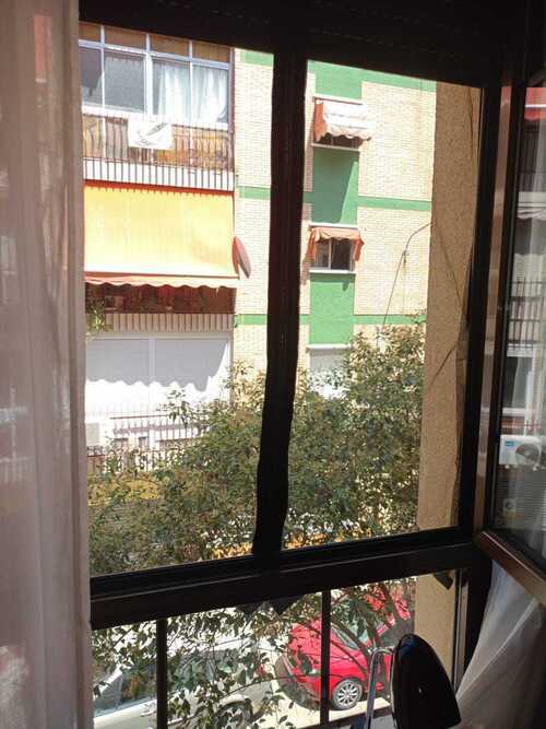 Busco compañera/o de piso 