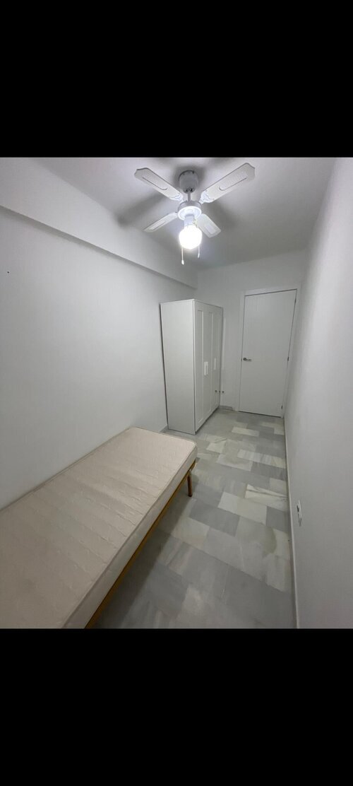 Habitación disponible para 🐶