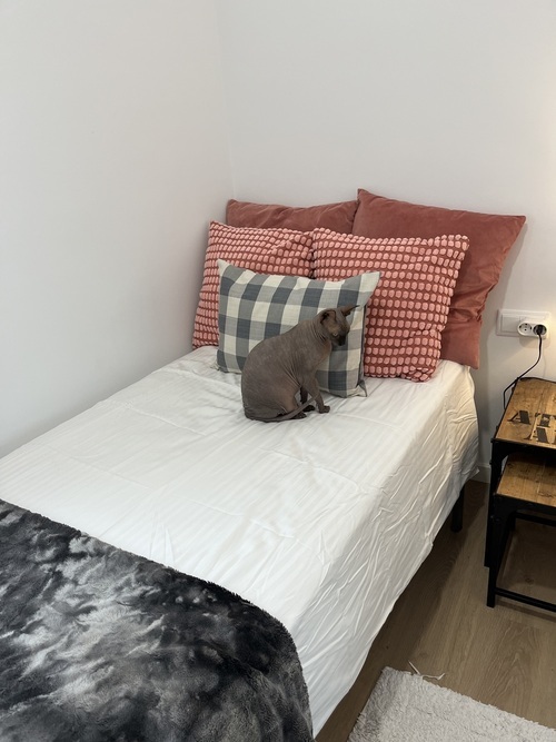 Habitación individual en piso acogedor – Hospitalet