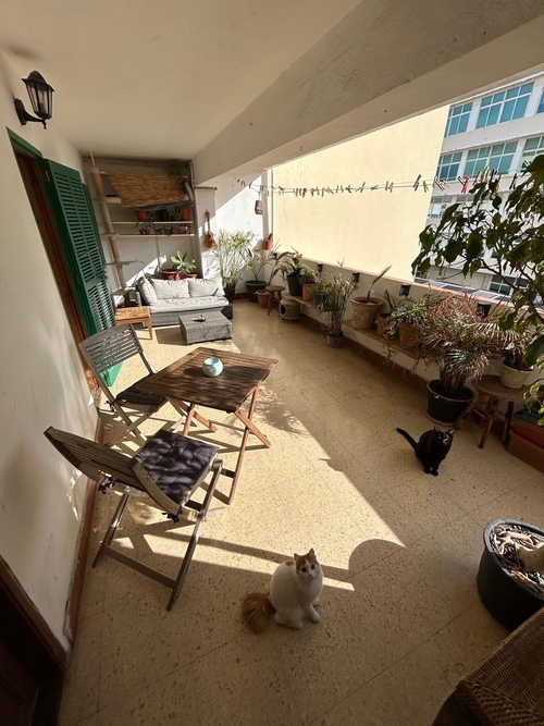 Habitación luminosa y acogedora foners