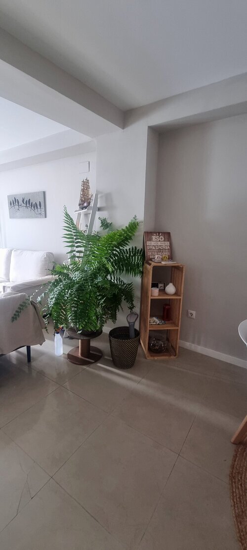 Habitación disponible para 🐶 en Natzaret