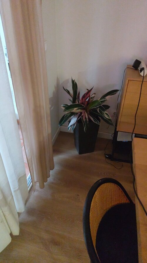 Habitación grande, con baño privado
